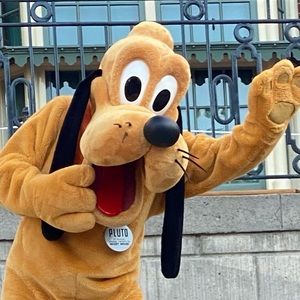 Meet your Posher, Tess